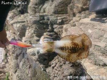 �����ꥤ��