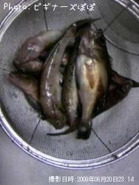 ¥á¥Ð¥ë£å£ô£ã