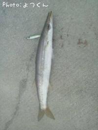 �ۥ��ܥ������ޥ�