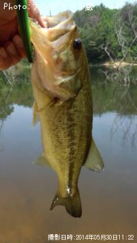 �֥�å��Х�