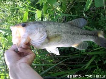 �֥�å��Х�