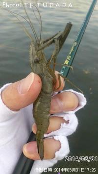 ��Ĺ����