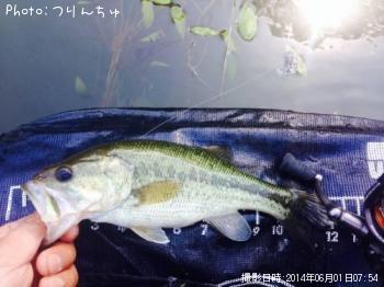 �֥�å��Х�