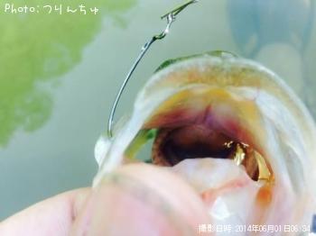 �֥�å��Х�