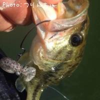 �֥�å��Х�