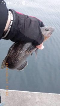 �����ʥ�