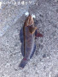 �����ʥ�