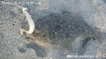�ҥ��