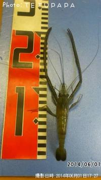 ��Ĺ����