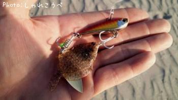 ���ä�����������ʿ��