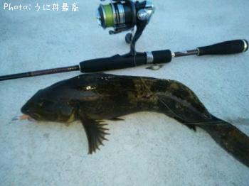 �����ʥ�