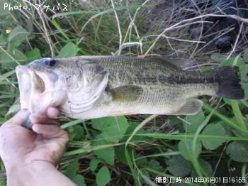 �֥�å��Х�