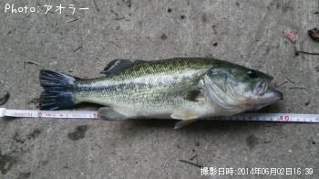 ¥Ö¥é¥Ã¥¯¥Ð¥¹