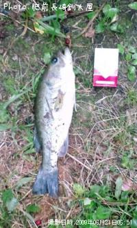 ¥Ö¥é¥Ã¥¯¥Ð¥¹