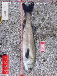 �����Х�