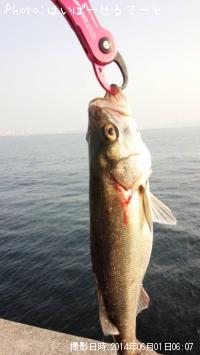 �����Х�