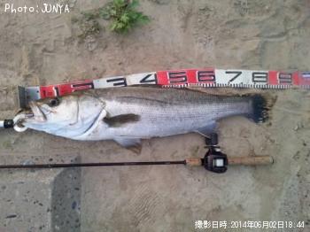 �����Х�