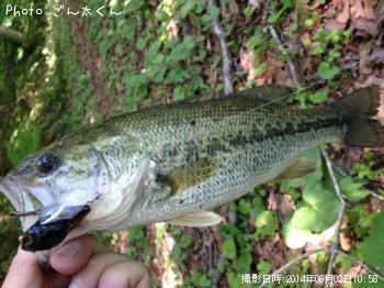 �֥�å��Х�