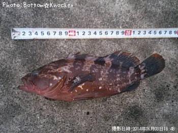 �����ϥ�