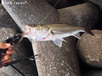 �����Х�