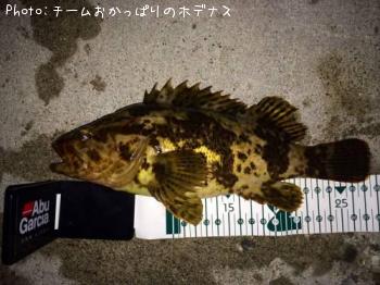 ¥¿¥±¥Î¥³¥á¥Ð¥ë