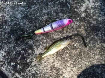 �֥�å��Х�