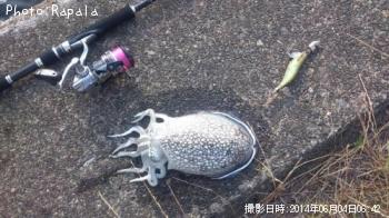 ����䥱����