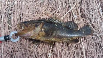 �٥å�������