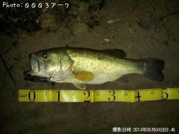 ¥Ö¥é¥Ã¥¯¥Ð¥¹