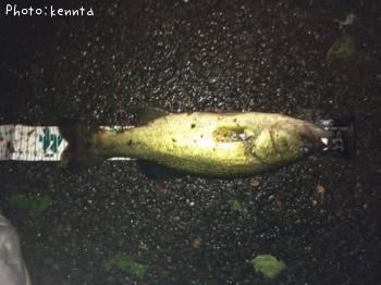 �֥�å��Х�