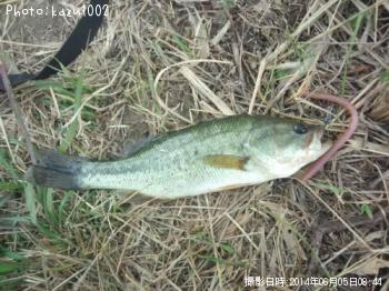 ¥Ö¥é¥Ã¥¯¥Ð¥¹