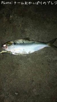 ���Υ���