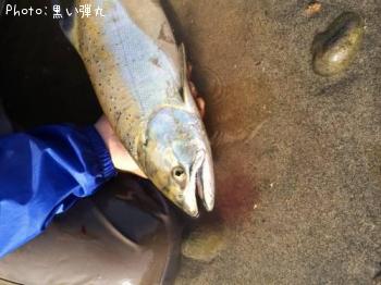 ������ޥ�