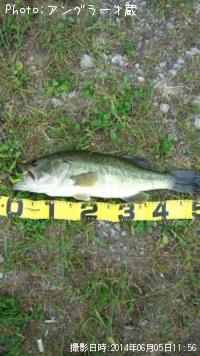 ¥Ö¥é¥Ã¥¯¥Ð¥¹