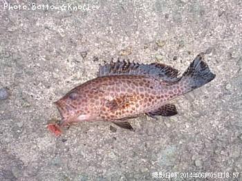 �������ϥ�