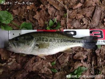 �֥�å��Х�