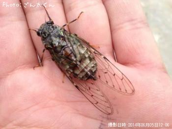 �֥�å��Х�