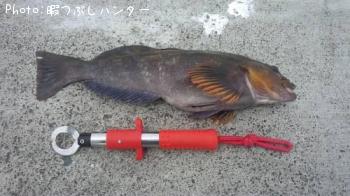 �����ʥ�