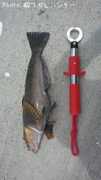 �����ʥ�