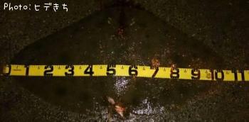 �ĥХ�������