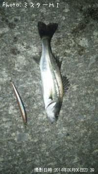 �����Х���������