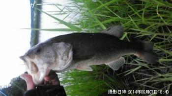 �֥�å��Х�