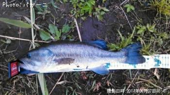 �֥�å��Х�