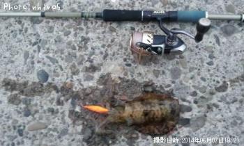 ¥¢¥ª¥ê¥¤¥«