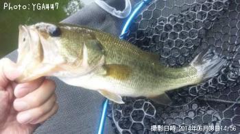 �֥�å��Х�