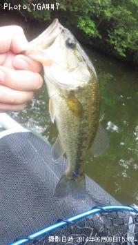 �֥�å��Х�