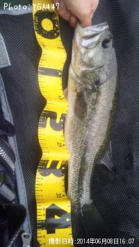 ¥Ö¥é¥Ã¥¯¥Ð¥¹