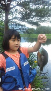 ¥Ö¥ë¡¼¥®¥ë