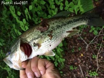 �֥�å��Х�