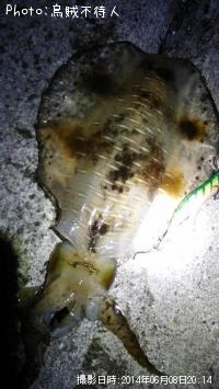 �����ꥤ��